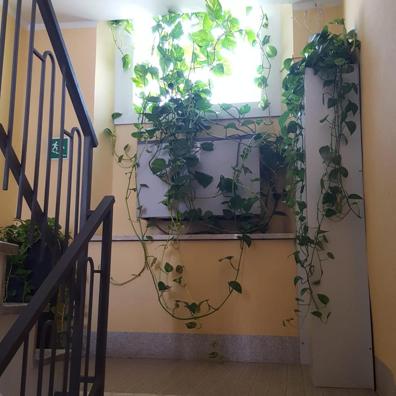 Hotel Calaluna Б'єлла Екстер'єр фото